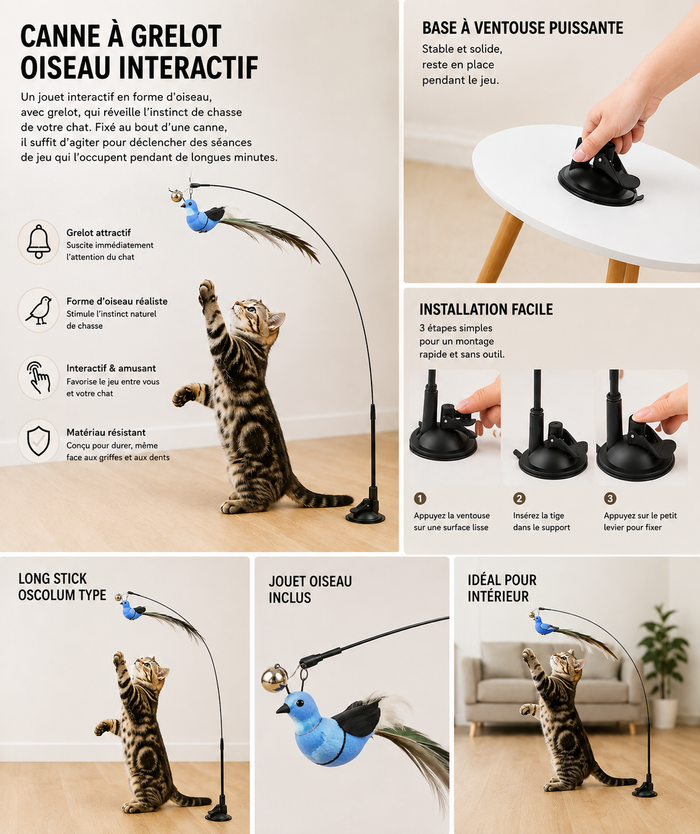 Jouet Oiseau Interactif pour Chat - Canne à Grelot