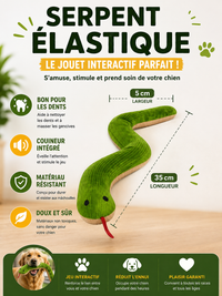 Serpent Interactif pour Chat & Chien