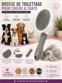 Brosse de Toilettage Auto-Nettoyante pour Chien & Chat