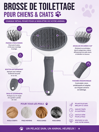 Brosse de Toilettage Auto-Nettoyante pour Chien & Chat