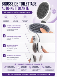 Brosse de Toilettage Auto-Nettoyante pour Chien & Chat