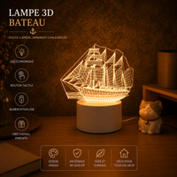 Lampe 3D Lumineuse - Veilleuse Déco Originale