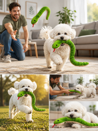 Serpent Interactif pour Chat & Chien