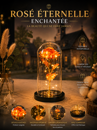 Rose Lumineuse LED - Cadeau Romantique