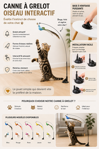 Jouet Oiseau Interactif pour Chat - Canne à Grelot