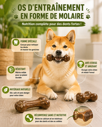 Os à Mâcher en Bois Naturel pour Chien