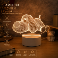 Lampe 3D Lumineuse - Veilleuse Déco Originale