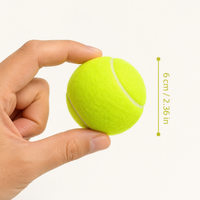 Balle Rebondissante pour Chien - Jeu & Mordillage