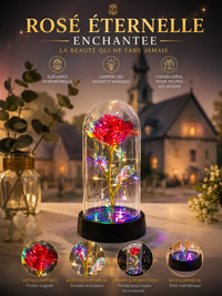 Rose Lumineuse LED - Cadeau Romantique