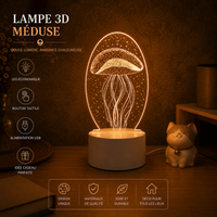 Lampe 3D Lumineuse - Veilleuse Déco Originale
