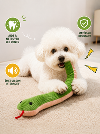Serpent Interactif pour Chat & Chien