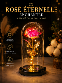 Rose Lumineuse LED - Cadeau Romantique