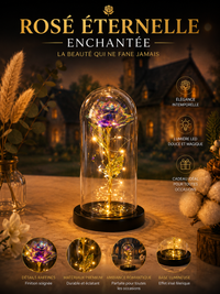 Rose Lumineuse LED - Cadeau Romantique
