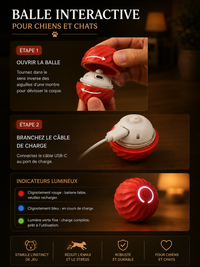 Balle Électronique Intelligente pour Chien & Chat