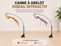Jouet Oiseau Interactif pour Chat - Canne à Grelot