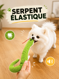 Serpent Interactif pour Chat & Chien