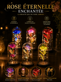 Rose Lumineuse LED - Cadeau Romantique