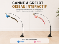 Jouet Oiseau Interactif pour Chat - Canne à Grelot