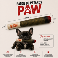 Peluche Sonore Décalée pour Chien