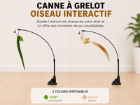 Jouet Oiseau Interactif pour Chat - Canne à Grelot