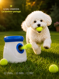Balle Rebondissante pour Chien - Jeu & Mordillage